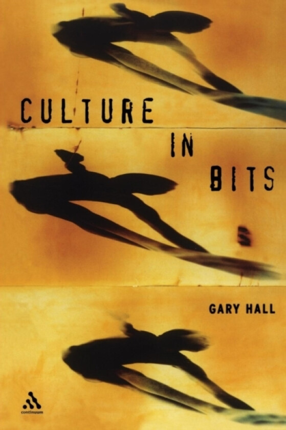 Culture in Bits av Gary Hall (Paperback)