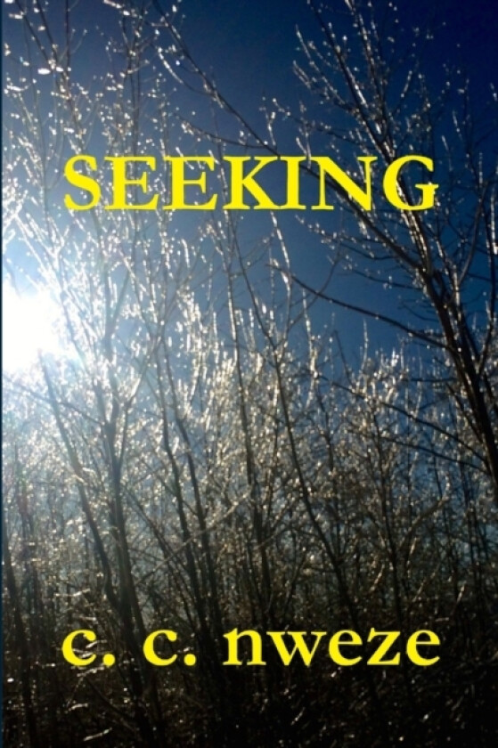 Seeking av Celestine Nweze (Paperback)