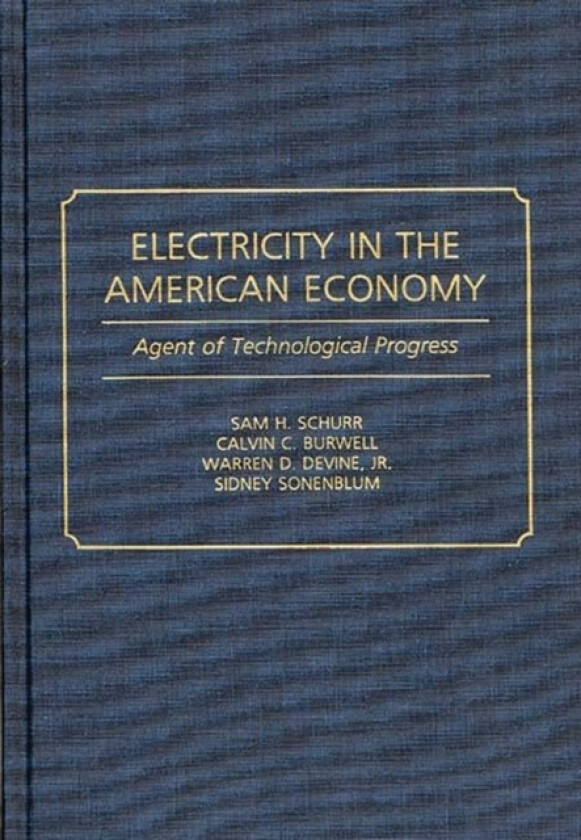 Electricity in the American Economy av Sam H. Schurr, Calvin C. Burwell, Warren S. Devine (Hardcover)