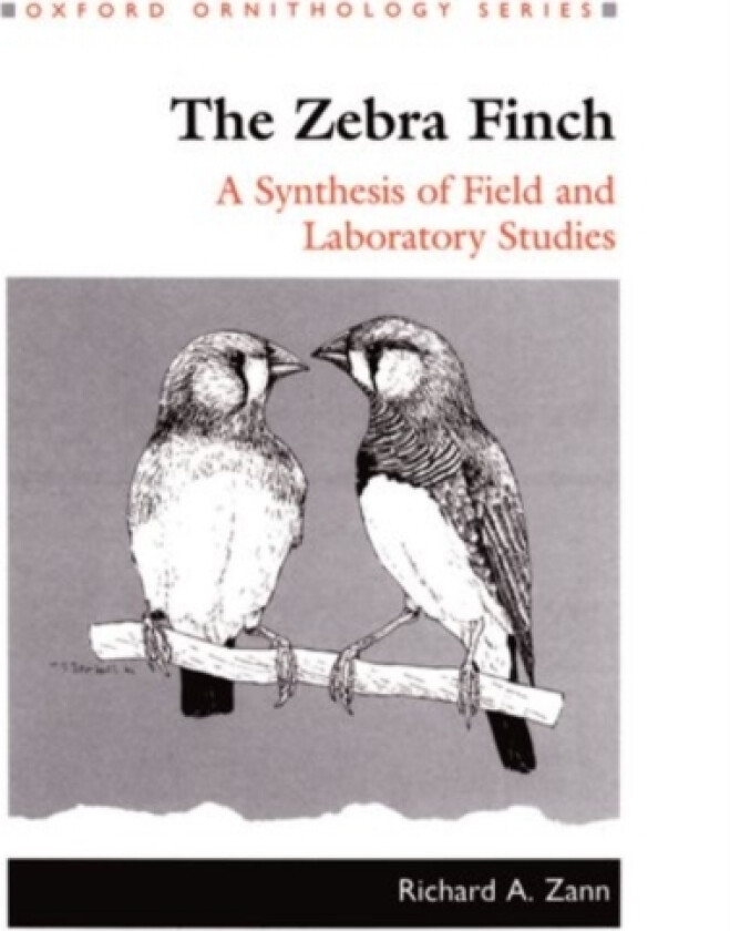 The Zebra Finch av Richard A. Zann (Hardcover)
