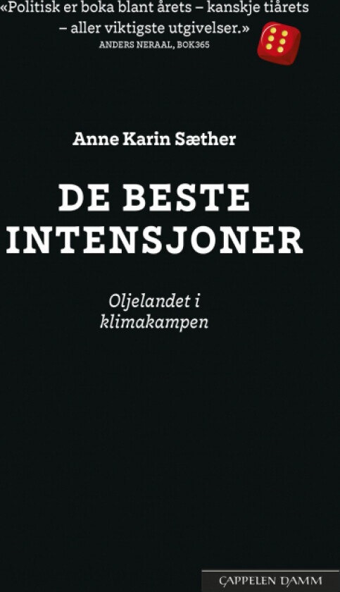 De beste intensjoner av Anne Karin Sæther