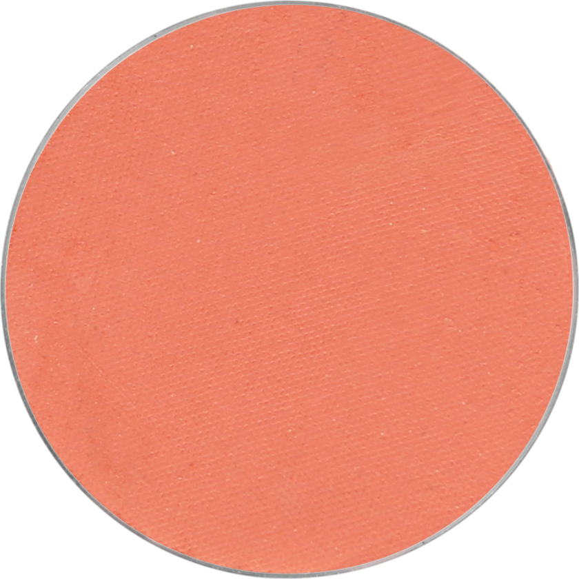 Blush Refill Magnetic Apricot