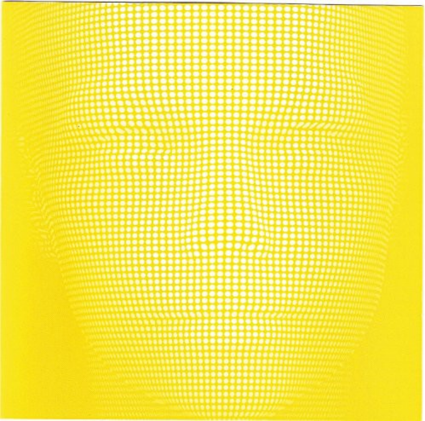 Björk Alarm Call 2 CD
