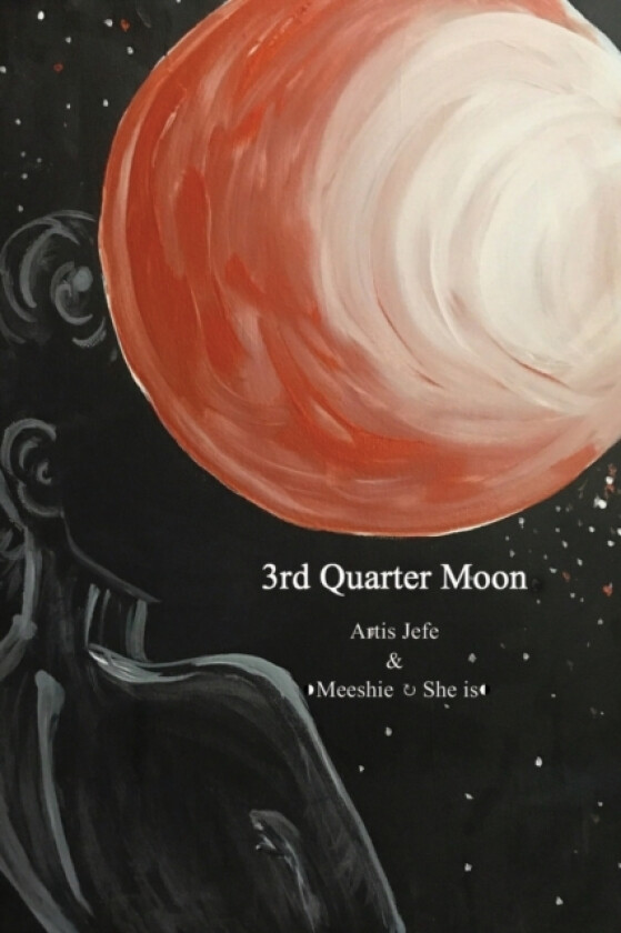 3rd Quarter Moon av Michelle Haldeman, Jeffrey White (Paperback)