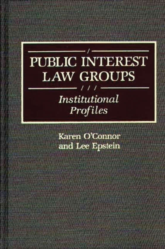 Public Interest Law Groups av Lee Epstein, Karen OConnor (Hardcover)