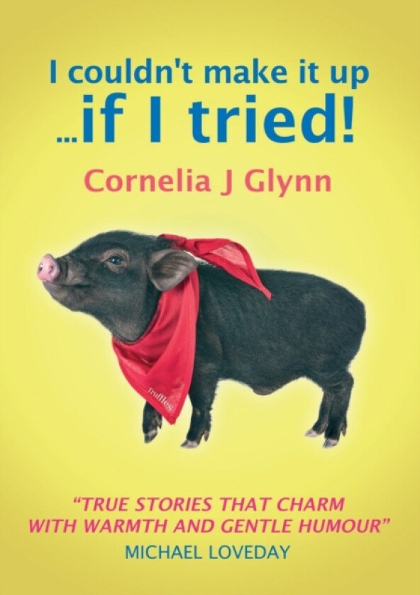 I couldn’t make it up ... if I tried! av Cornelia J. Glynn (Paperback)