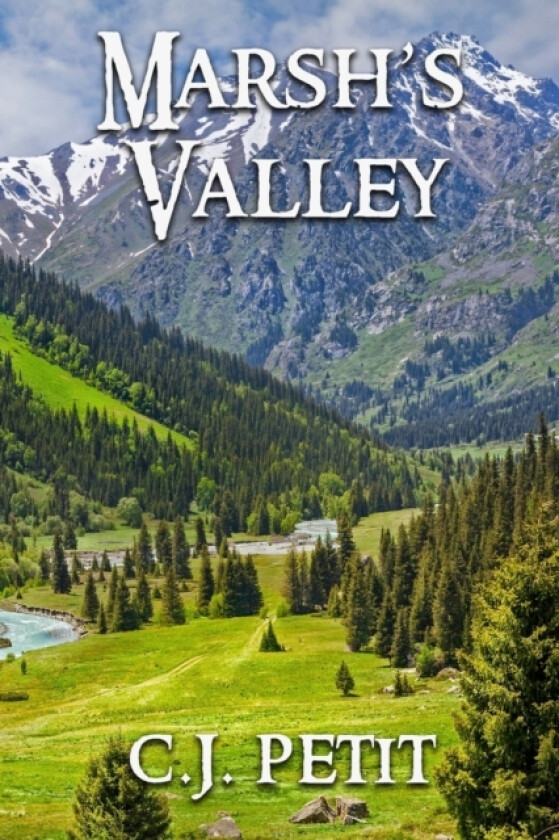 Marsh's Valley av C J Petit (Paperback)