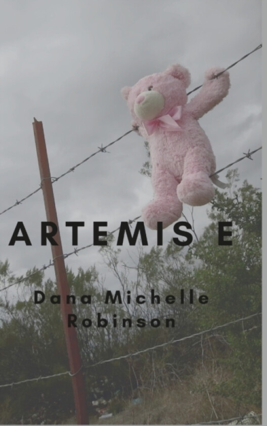 Artemis E av Dana Michelle Robinson (Hardcover)