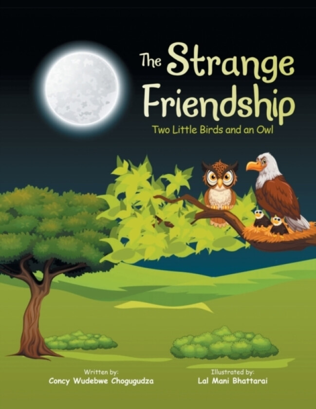 The Strange Friendship av Concy Wudebwe Chogugudza (Paperback)