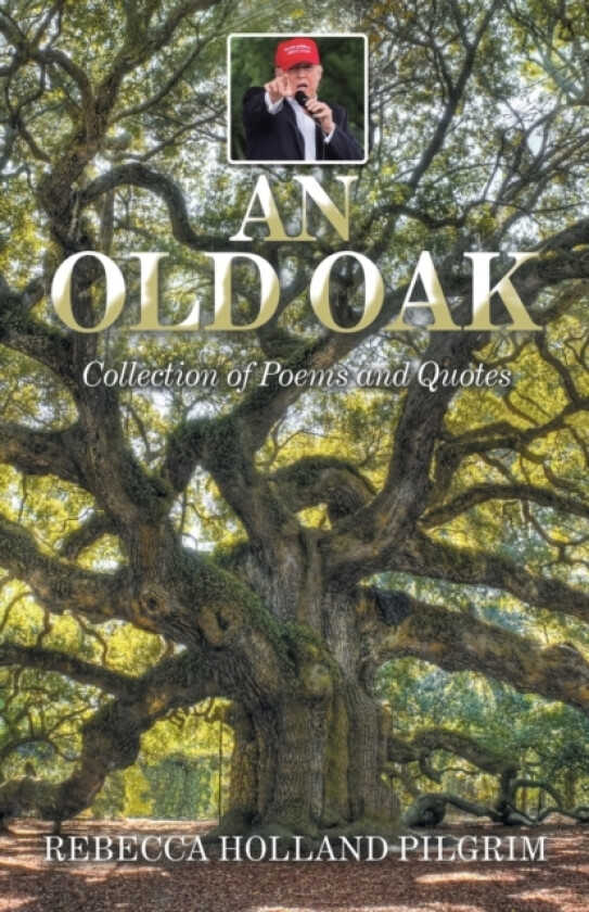 An Old Oak av Rebecca Holland Pilgrim (Paperback)
