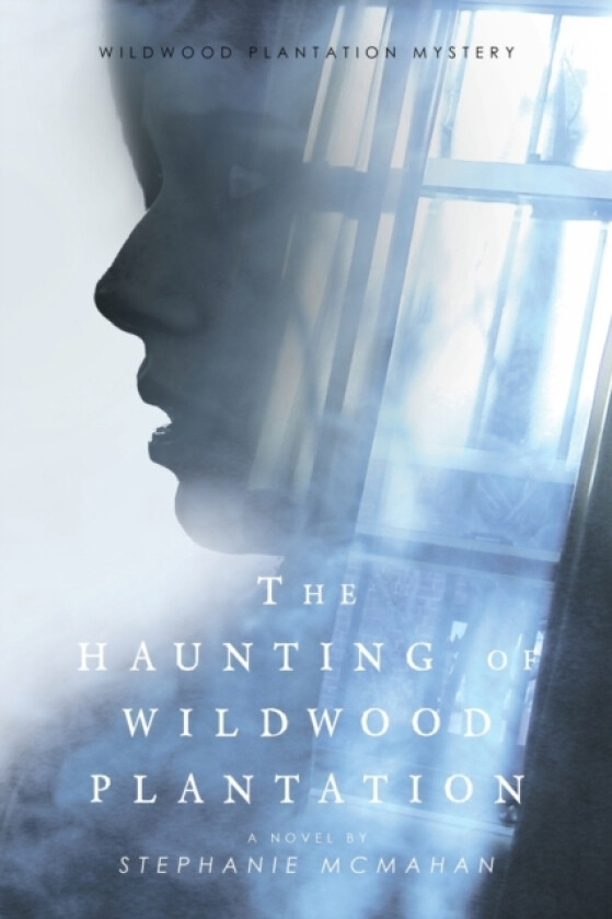 The Haunting of Wildwood Plantation av Stephanie McMahan (Paperback)
