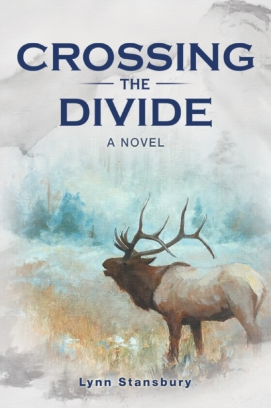 Crossing the Divide av Lynn Stansbury (Paperback)