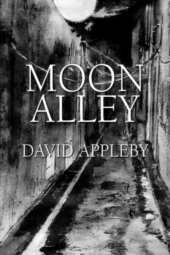 Moon Alley av David Appleby (Paperback)