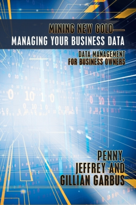 Mining New Gold-Managing Your Business Data av Penny Jeffrey and Gillian Garbus (Paperback)