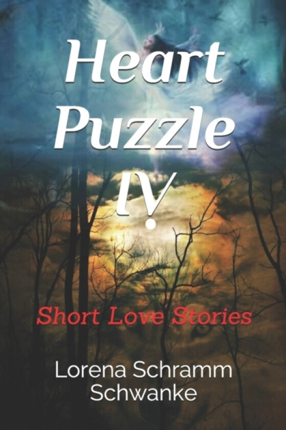 Heart Puzzle IV av Lorena Schramm Schwanke (Paperback)