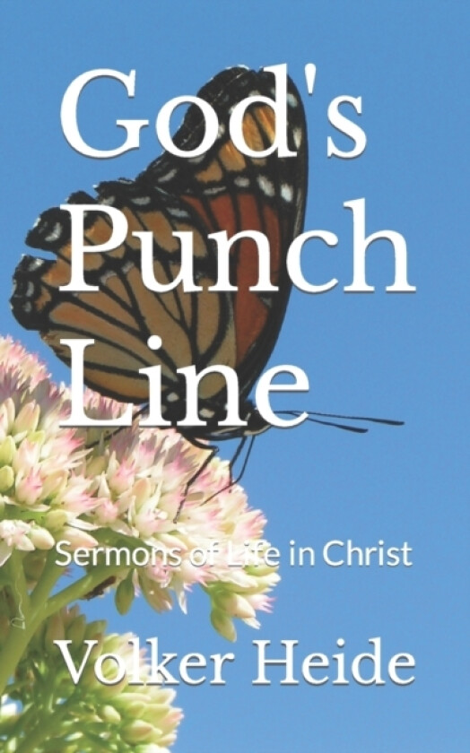 God's Punch Line av Volker Heide (Paperback)