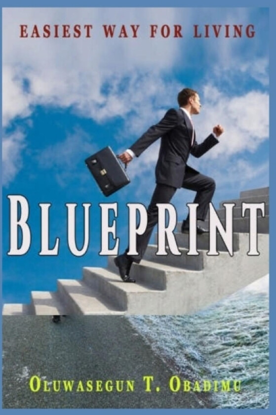 Blueprint av Oluwasegun T Obadimu (Paperback)