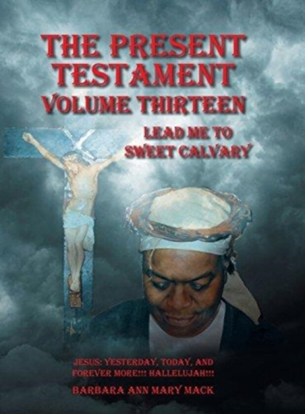 The Present Testament Volume Thirteen av Barbara Ann Mary Mack (Hardcover)
