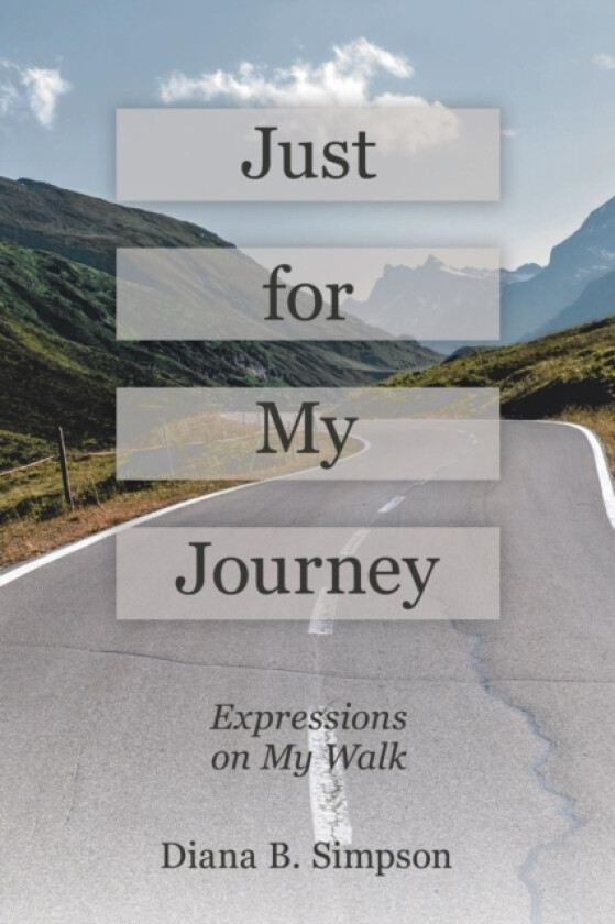 Just for My Journey av Diana B Simpson (Paperback)