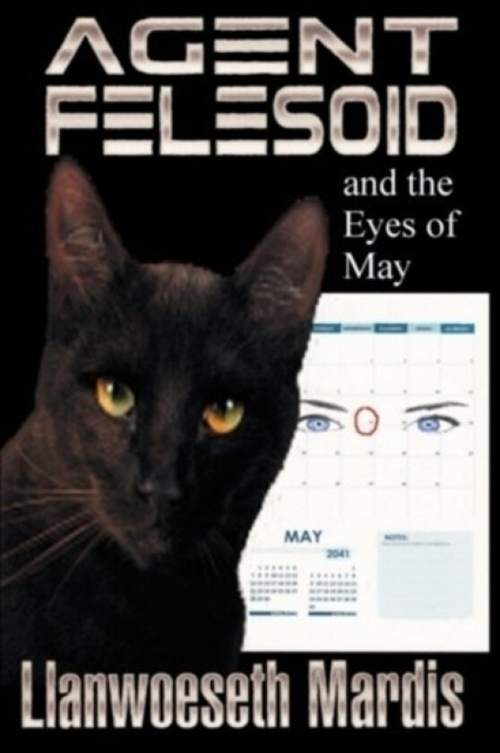 Agent Felesoid and the Eyes of May av Llanwoeseth Mardis (Paperback)