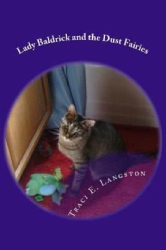 Lady Baldrick and the Dust Fairies av Traci E Langston (Paperback)