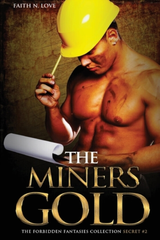 The Miners Gold av Faith N Love (Paperback)