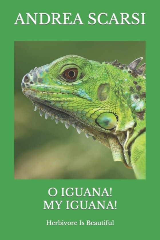 O Iguana! My Iguana! av Andrea Scarsi Msc D (Paperback)