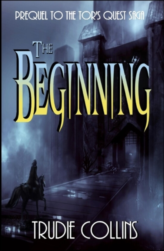 The Beginning av Trudie L Collins (Paperback)