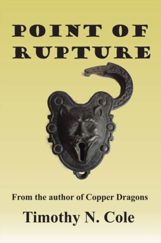 Point of Rupture av Timothy N Cole (Paperback)