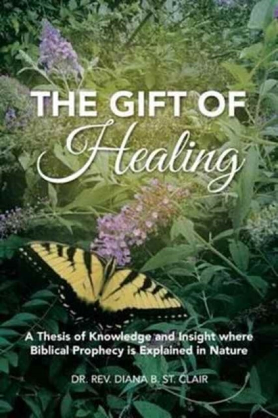 The Gift of Healing av Dr Rev Diana B St Clair (Paperback)