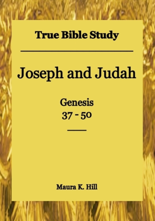 True Bible Study - Joseph and Judah Genesis 37-50 av Maura K Hill (Paperback)