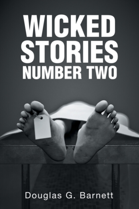 Wicked Stories Number Two av Douglas G Barnett (Paperback)