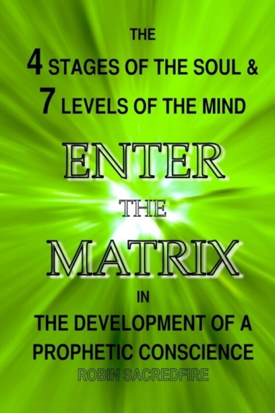 Enter the Matrix av Robin Sacredfire (Paperback)