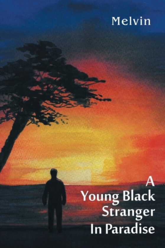 A Young Black Stranger in Paradise av Melvin (Paperback)