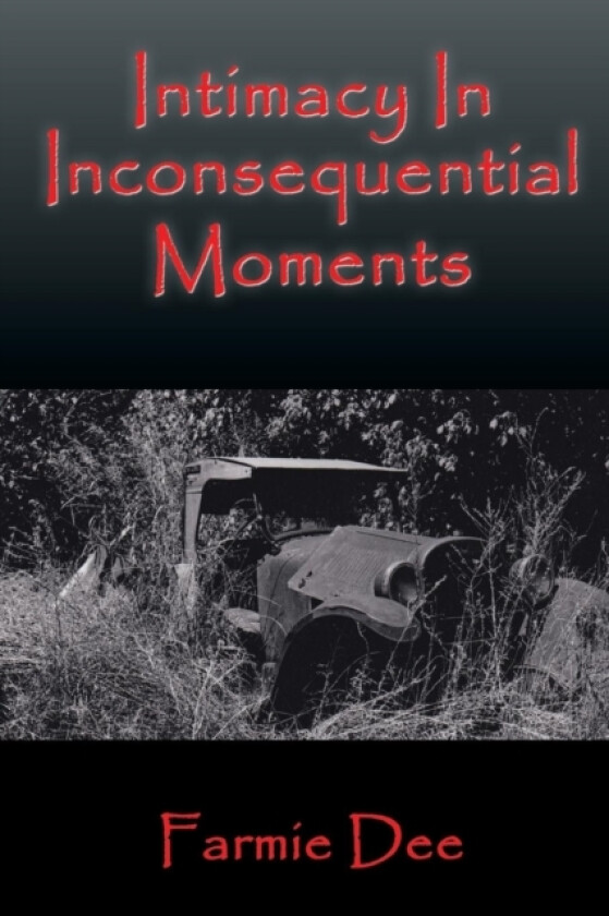 Intimacy In Inconsequential Moments av Farmie Dee (Paperback)