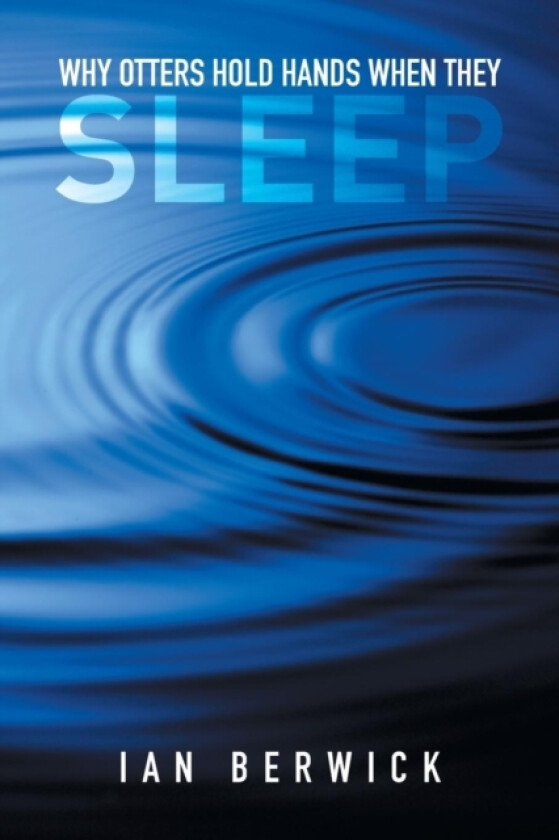 Why Otters Hold Hands When They Sleep av Ian Berwick (Paperback)