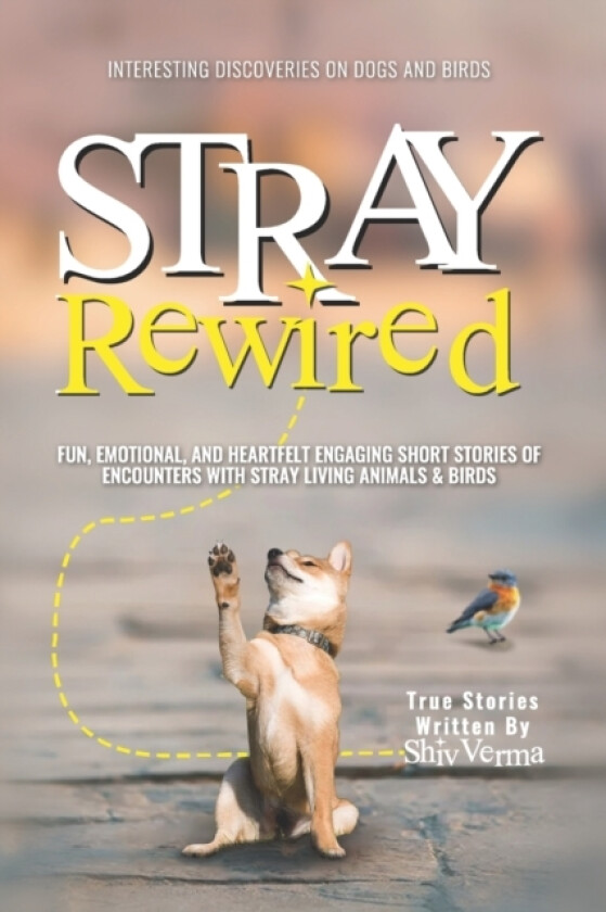 Interesting Discoveries on Dogs & Birds av Shiv Verma (Paperback)