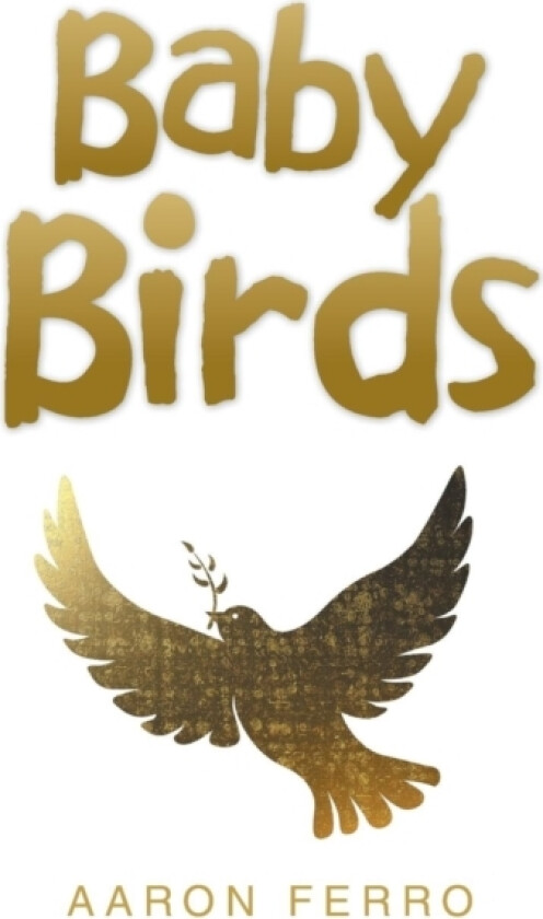 Baby Birds av Aaron Ferro (Paperback)