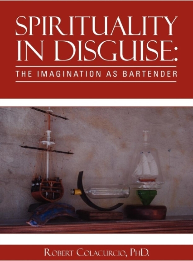 Spirituality in Disguise av Robert PhD Colacurcio (Paperback)