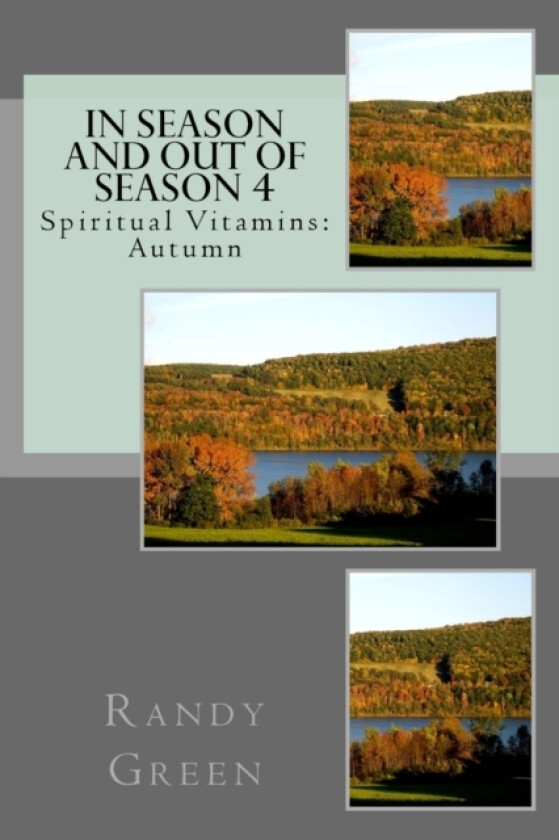 In Season and Out of Season 4 av Randy Green (Paperback)