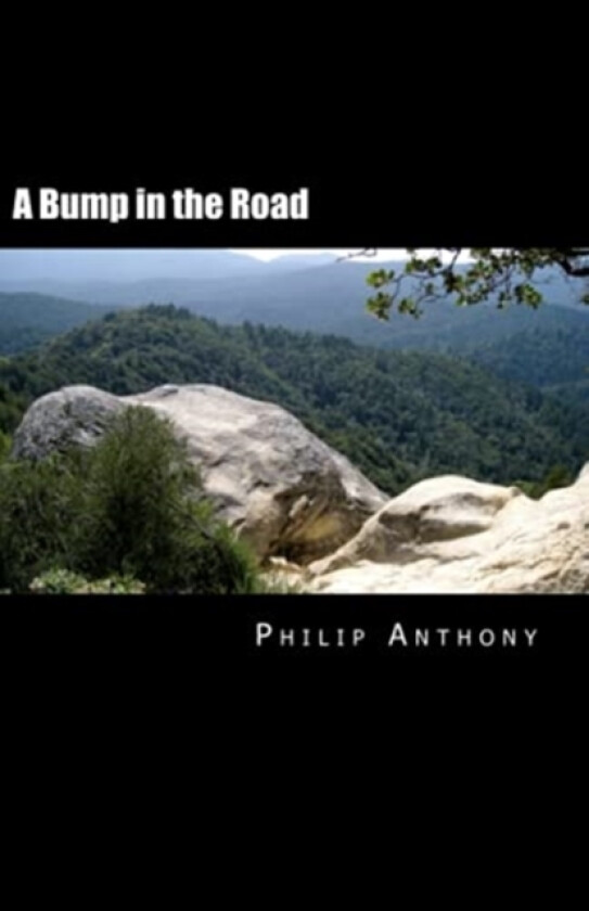 A Bump in the Road av Philip Anthony (Paperback)