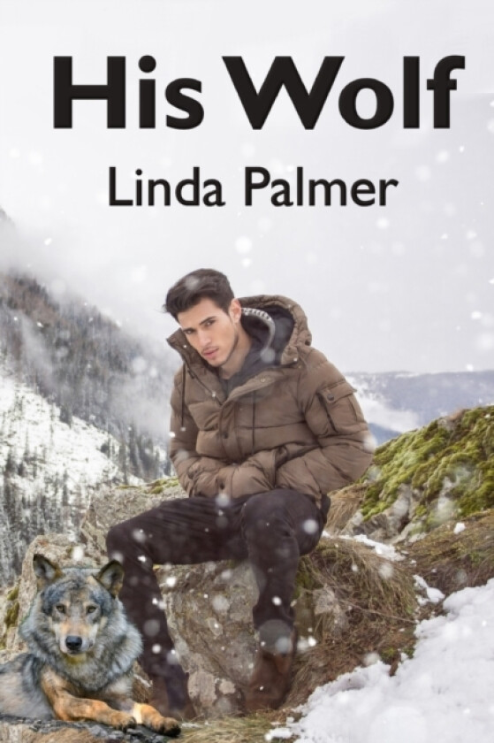 His Wolf av Linda Palmer (Paperback)