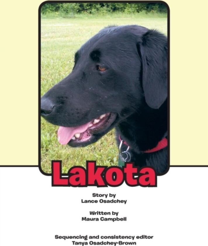 Lakota av Lance Osadchey (Paperback)