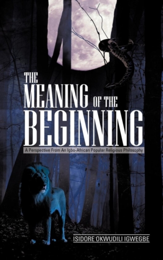 The Meaning of the Beginning av Isidore Okwudili Igwegbe (Hardcover)