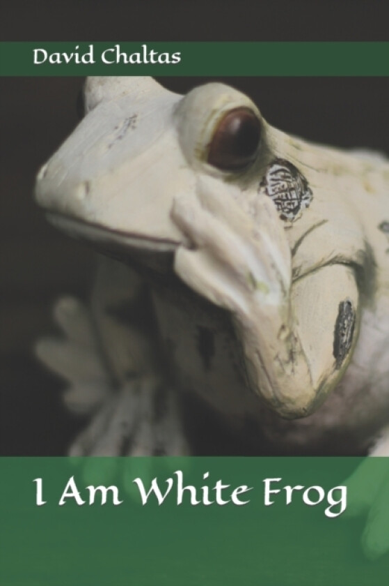 I am White Frog av David Chaltas (Paperback)
