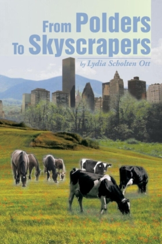 From Polders to Skyscrapers av Lydia Scholten Ott (Paperback)