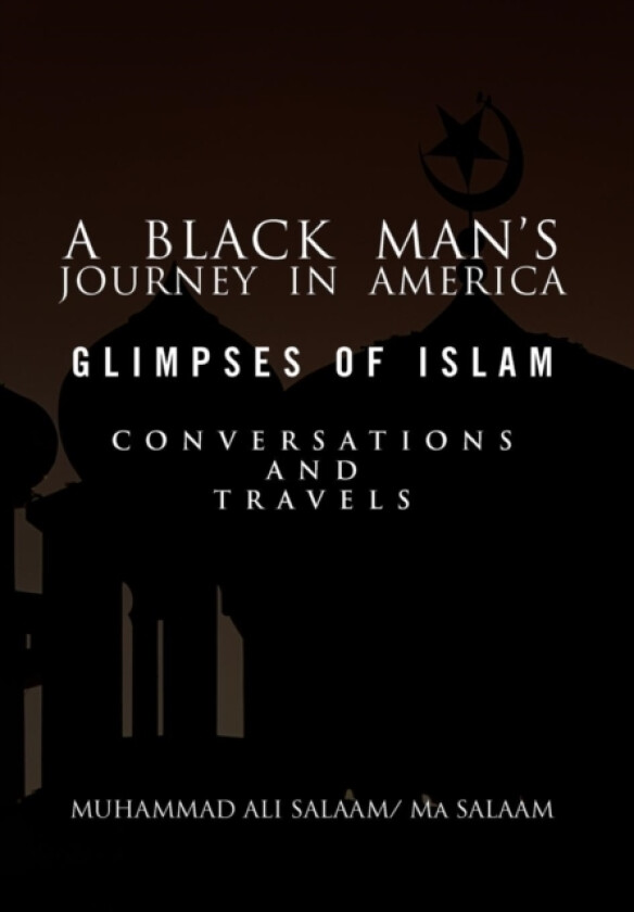 A Black Man's Journey in America av Muhammad Ali Salaam, Ma Salaam (Hardcover)