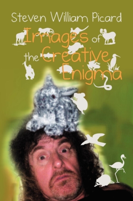 Images of the Creative Enigma av Steven William Picard (Paperback)