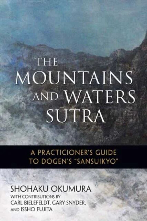 The Mountains and Waters Sutra av Shohaku Okumura, Issho Fujita