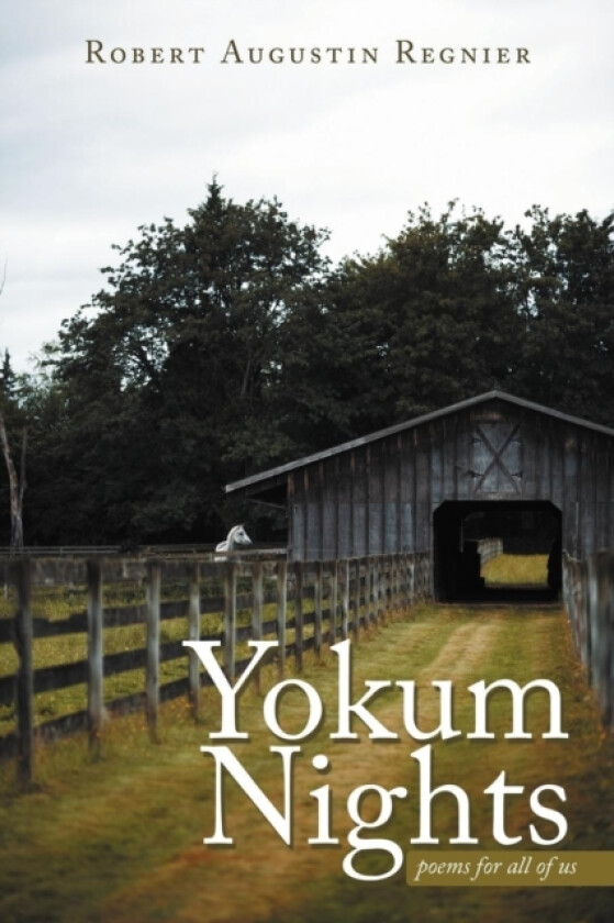 Yokum Nights av Robert Augustin Regnier (Paperback)